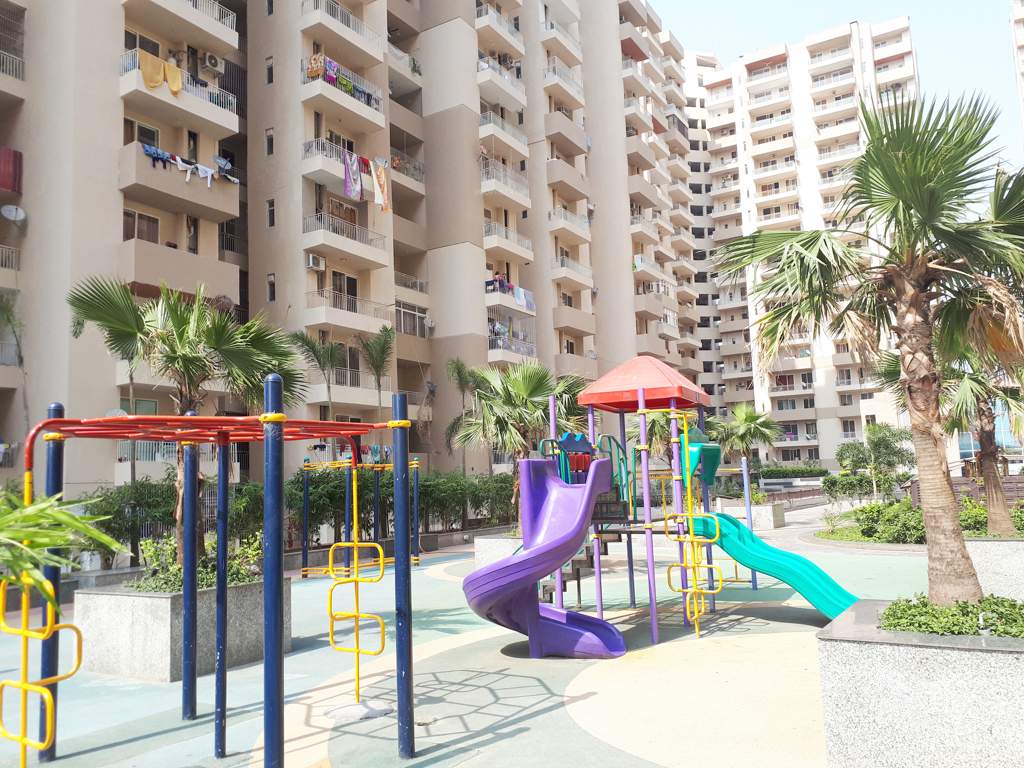  platinum zeta 1 Images for Elevation of Ace Platinum Zeta 1