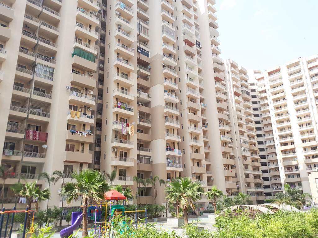  platinum zeta 1 Images for Elevation of Ace Platinum Zeta 1