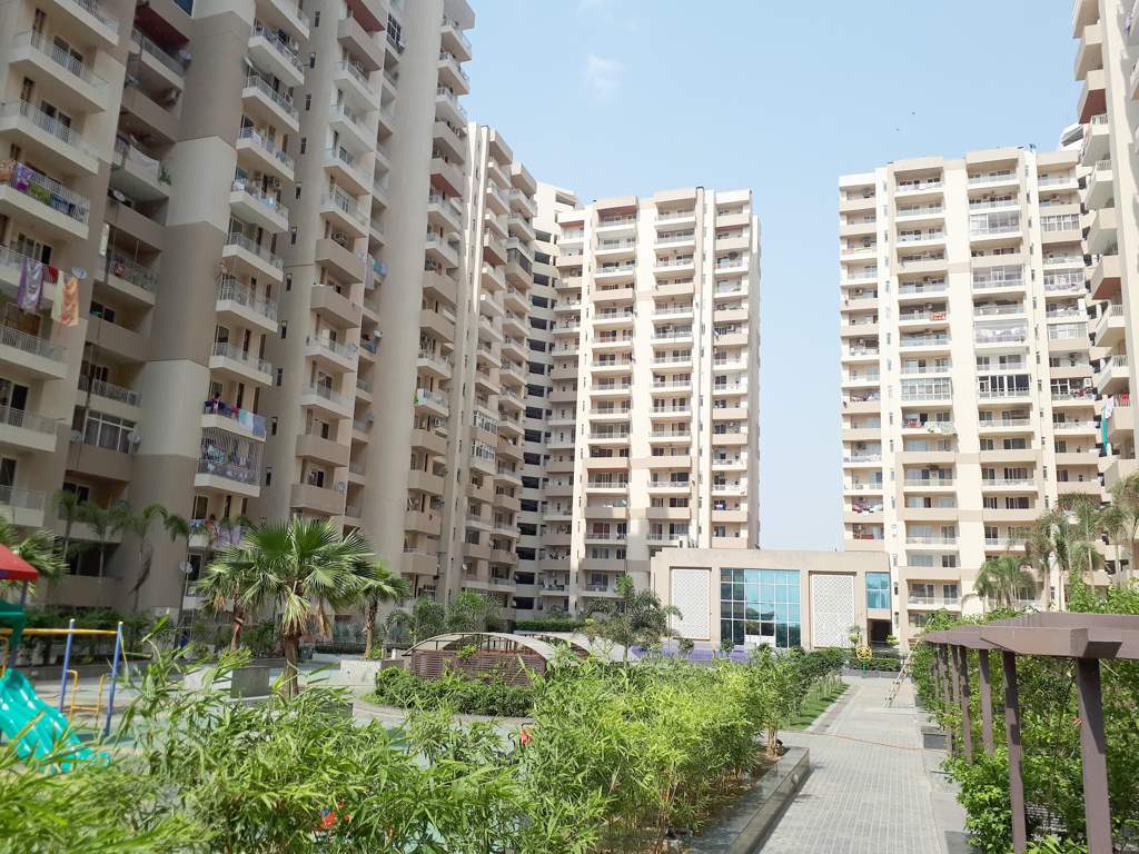  platinum zeta 1 Images for Elevation of Ace Platinum Zeta 1