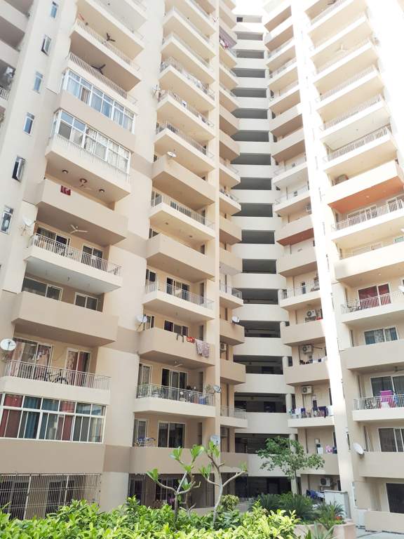  platinum zeta 1 Images for Elevation of Ace Platinum Zeta 1