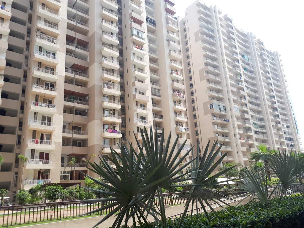  platinum zeta 1 Images for Elevation of Ace Platinum Zeta 1