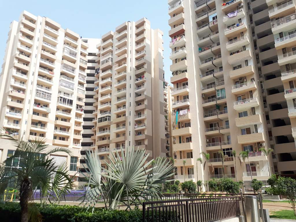  platinum zeta 1 Images for Elevation of Ace Platinum Zeta 1