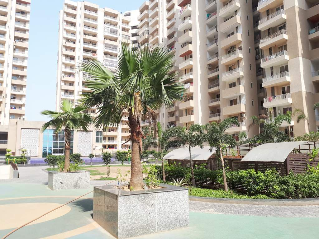  platinum zeta 1 Images for Elevation of Ace Platinum Zeta 1