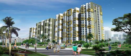  platinum-zeta-1 Images for Elevation of Ace Platinum Zeta 1