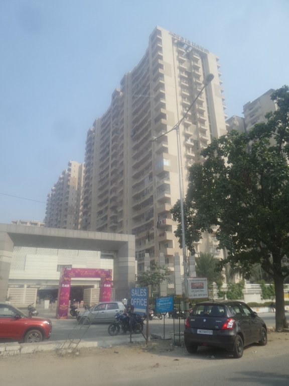  platinum zeta 1 Images for Project