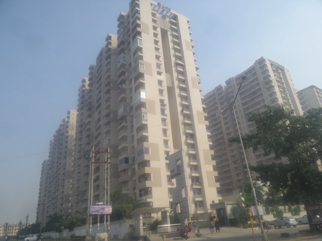  platinum zeta 1 Images for Project