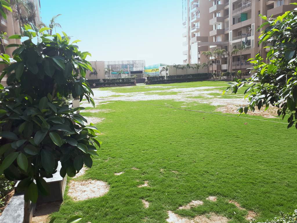  platinum zeta 1 Images for Amenities of Ace Platinum Zeta 1