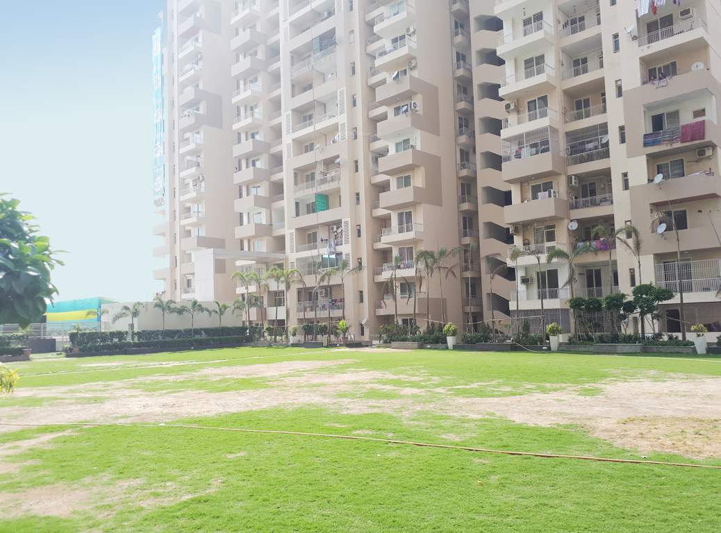  platinum zeta 1 Images for Amenities of Ace Platinum Zeta 1