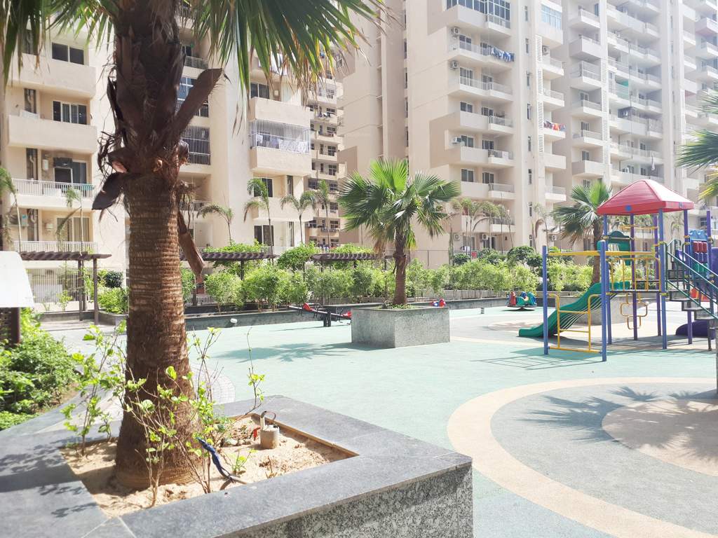  platinum zeta 1 Images for Amenities of Ace Platinum Zeta 1