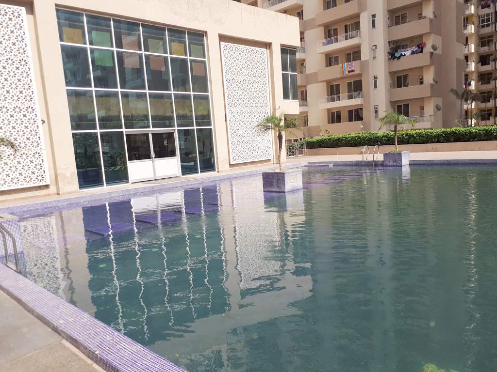  platinum zeta 1 Images for Amenities of Ace Platinum Zeta 1