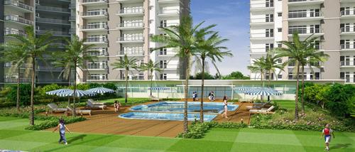  platinum-zeta-1 Images for Amenities of Ace Platinum Zeta 1