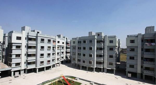 Elevation trinoyoni Elevation