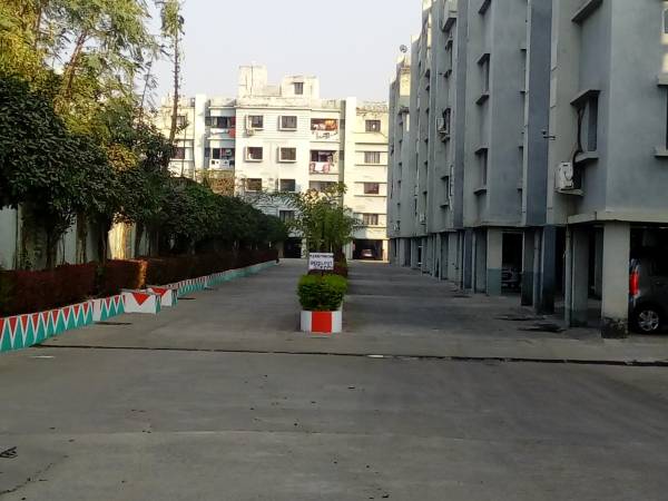 Others trinoyoni Others