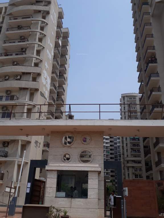 angel golf avenue ii Images for Project