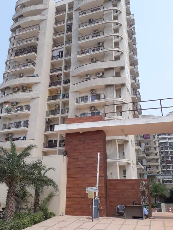 angel golf avenue ii Images for Project