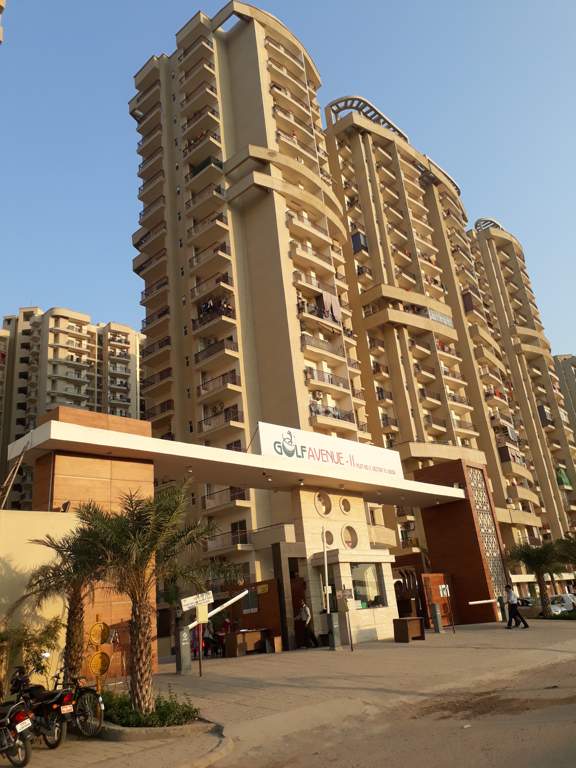 angel golf avenue ii Images for Project