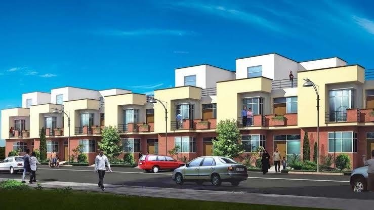 palm premiere Elevation