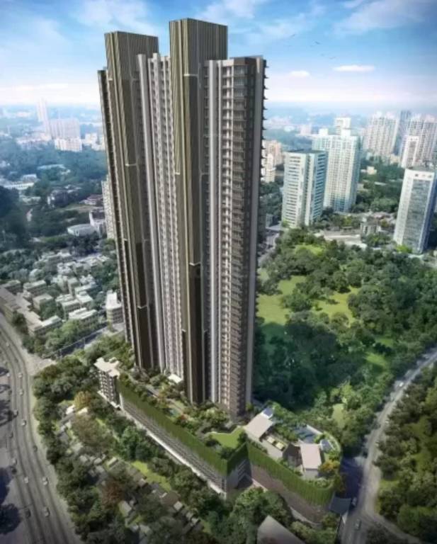  avana Images for Project