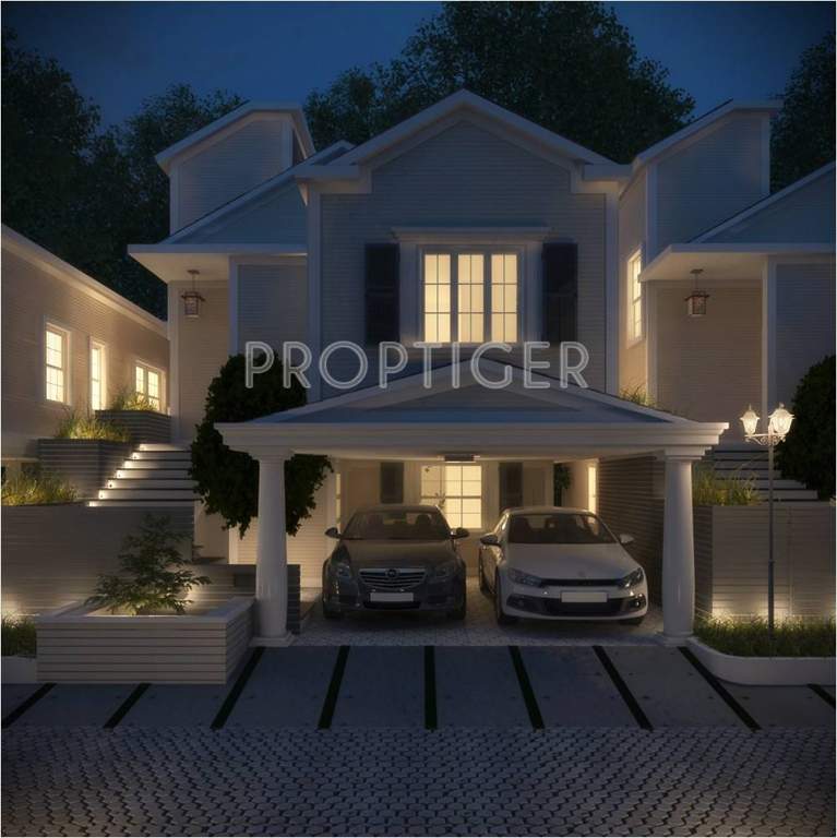  sanctuary Images for Elevation of Icon Sanctuary