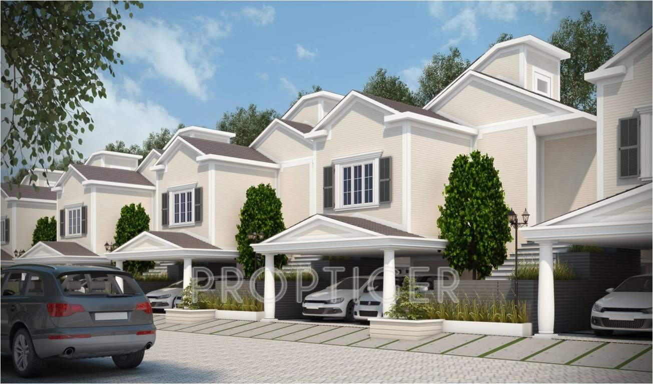  sanctuary Images for Elevation of Icon Sanctuary