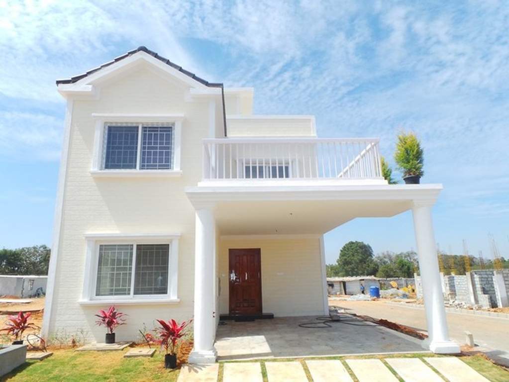  sanctuary Images for Elevation of Icon Sanctuary