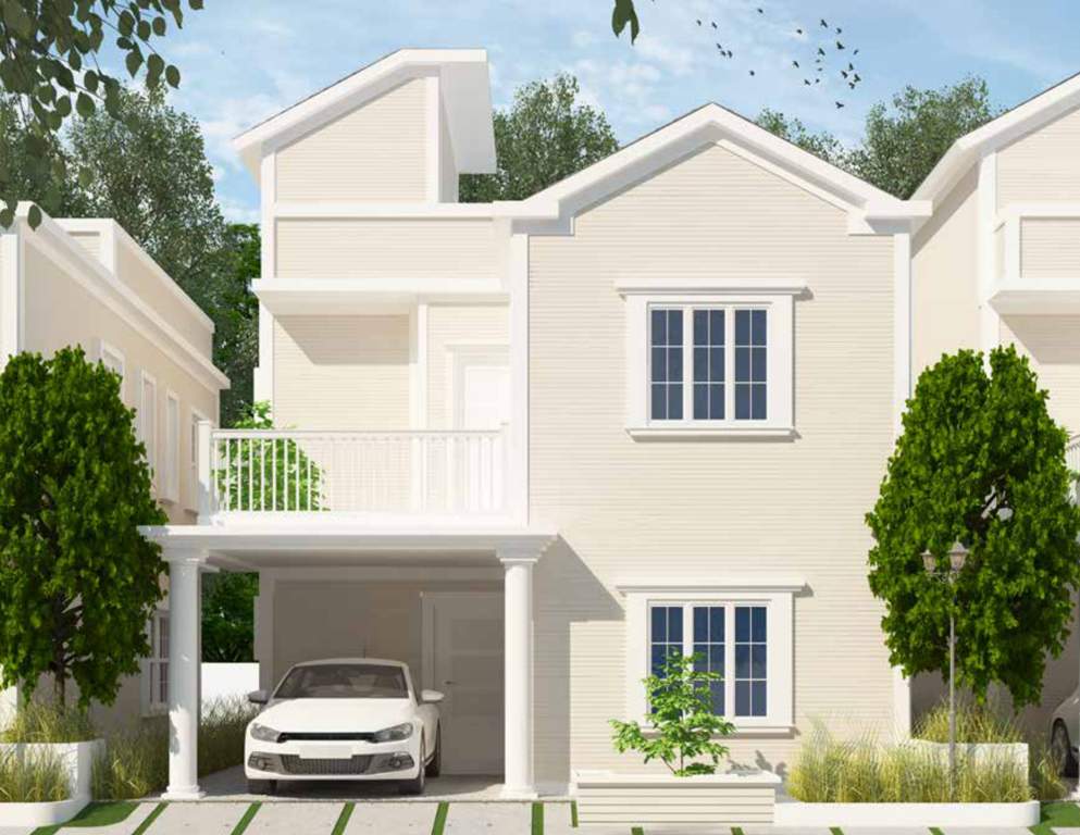  sanctuary Images for Elevation of Icon Sanctuary