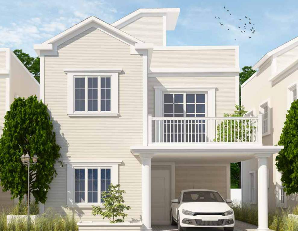  sanctuary Images for Elevation of Icon Sanctuary