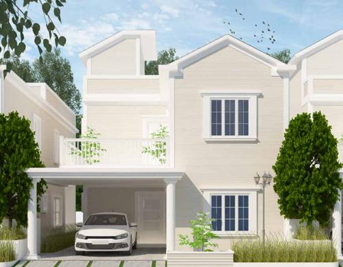  sanctuary Images for Elevation of Icon Sanctuary