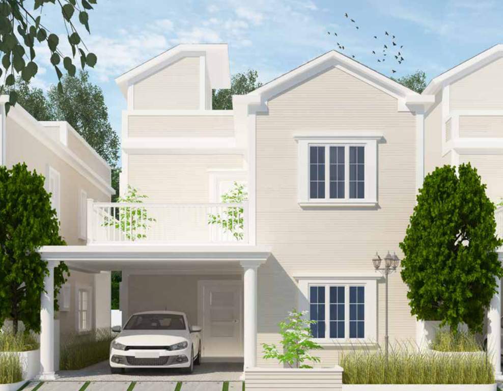  sanctuary Images for Elevation of Icon Sanctuary