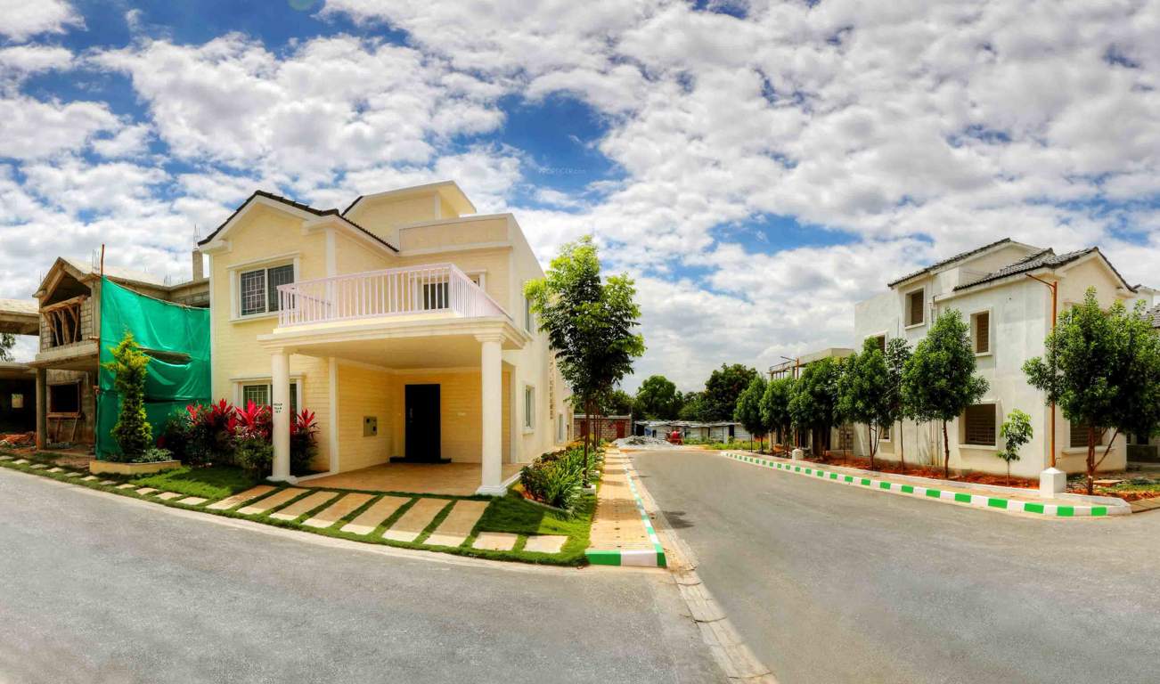  sanctuary Images for Elevation of Icon Sanctuary