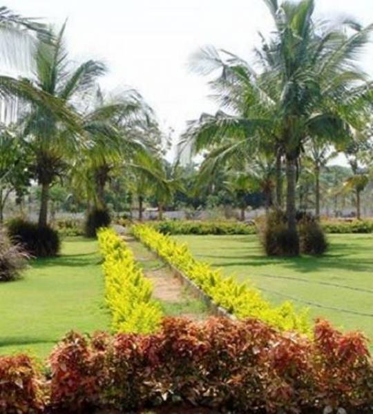  valley Jogging Track