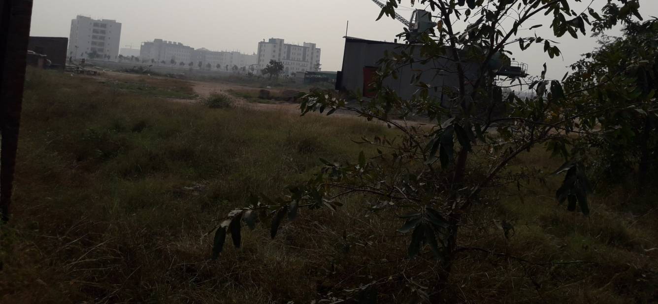 Images for mainOther