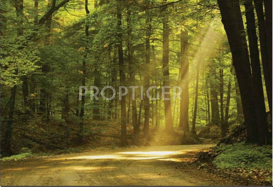  amoda reserve Images for Main Other of Kalpataru Amoda Reserve