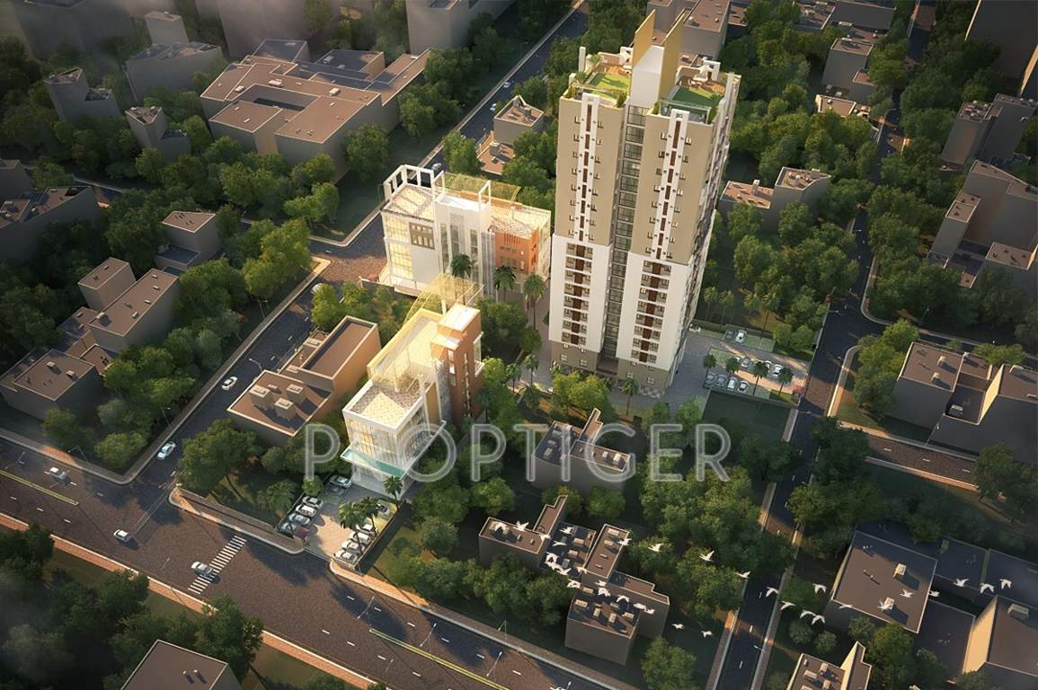  aristo Images for Elevation of Signum Aristo