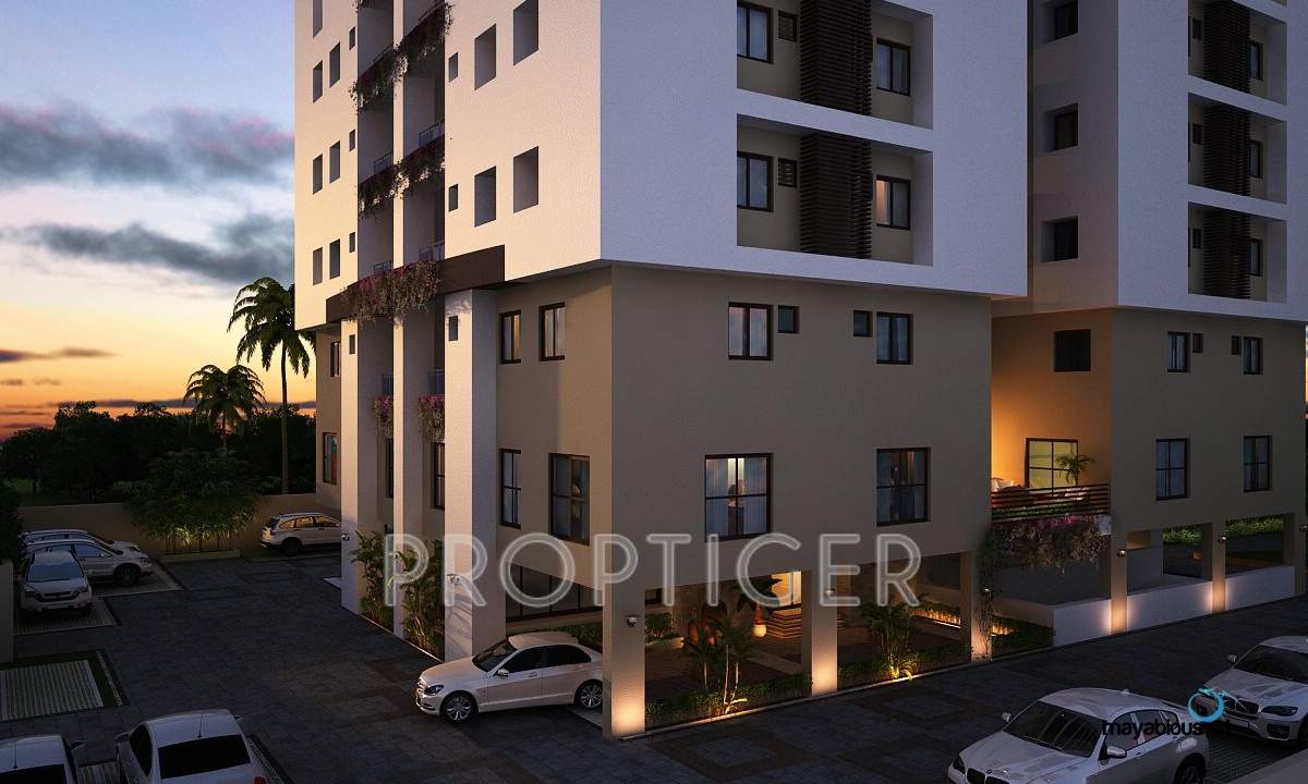  aristo Images for Elevation of Signum Aristo