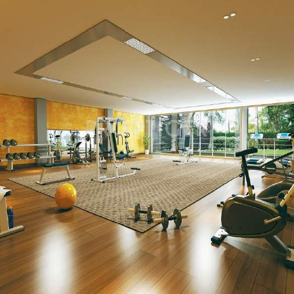  aristo Images for Amenities of Signum Aristo