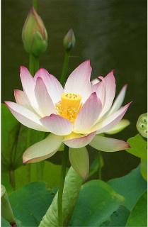 Images for amenities