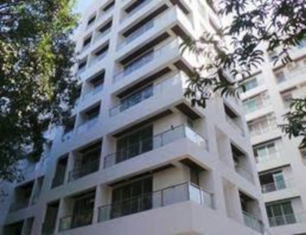  galaxy exotica Elevation