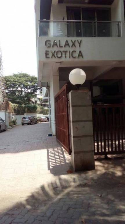  galaxy exotica Others