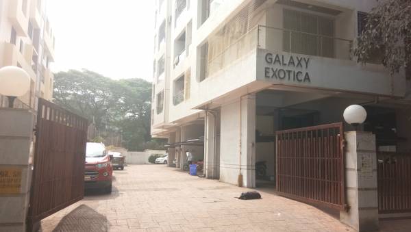  galaxy-exotica Others