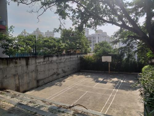  rose-wood Basketball Court