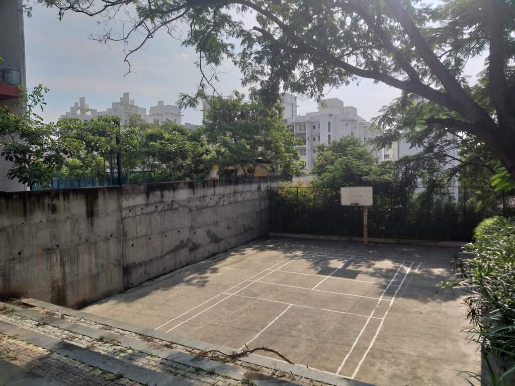  rose wood Basketball Court