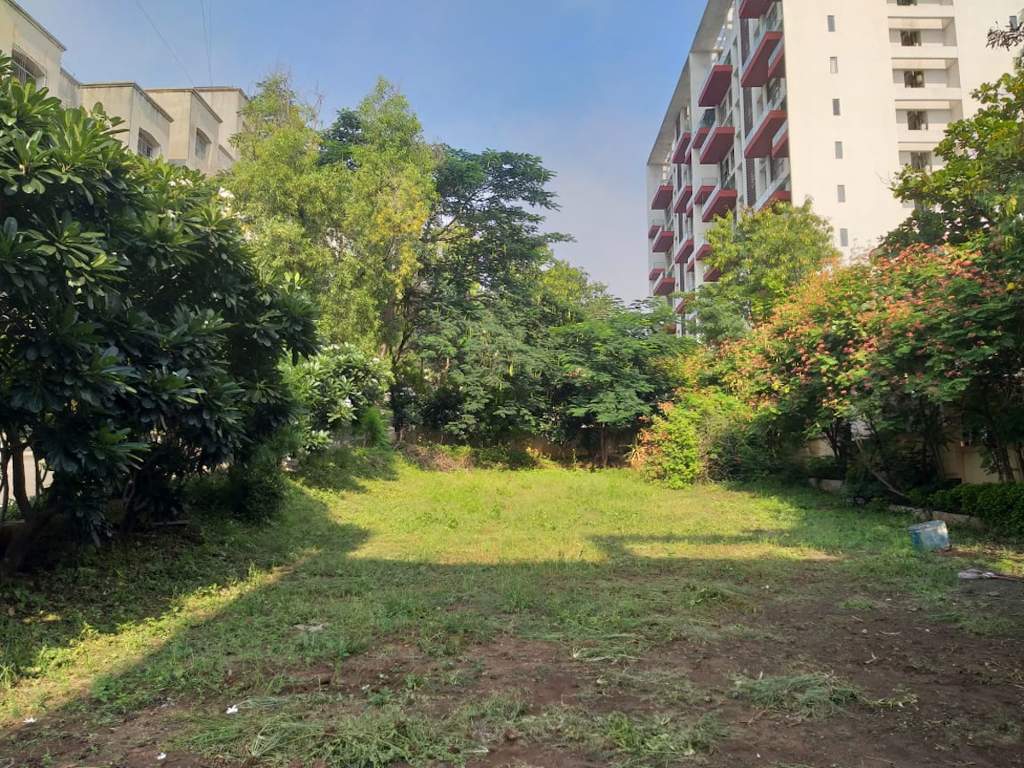  rose wood Landscaped Gardens