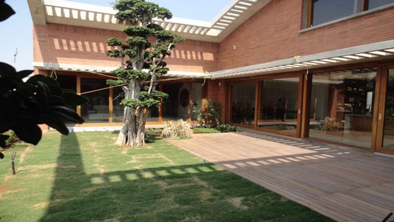  the meadow dance Images for Elevation of Total Environment The Meadow Dance