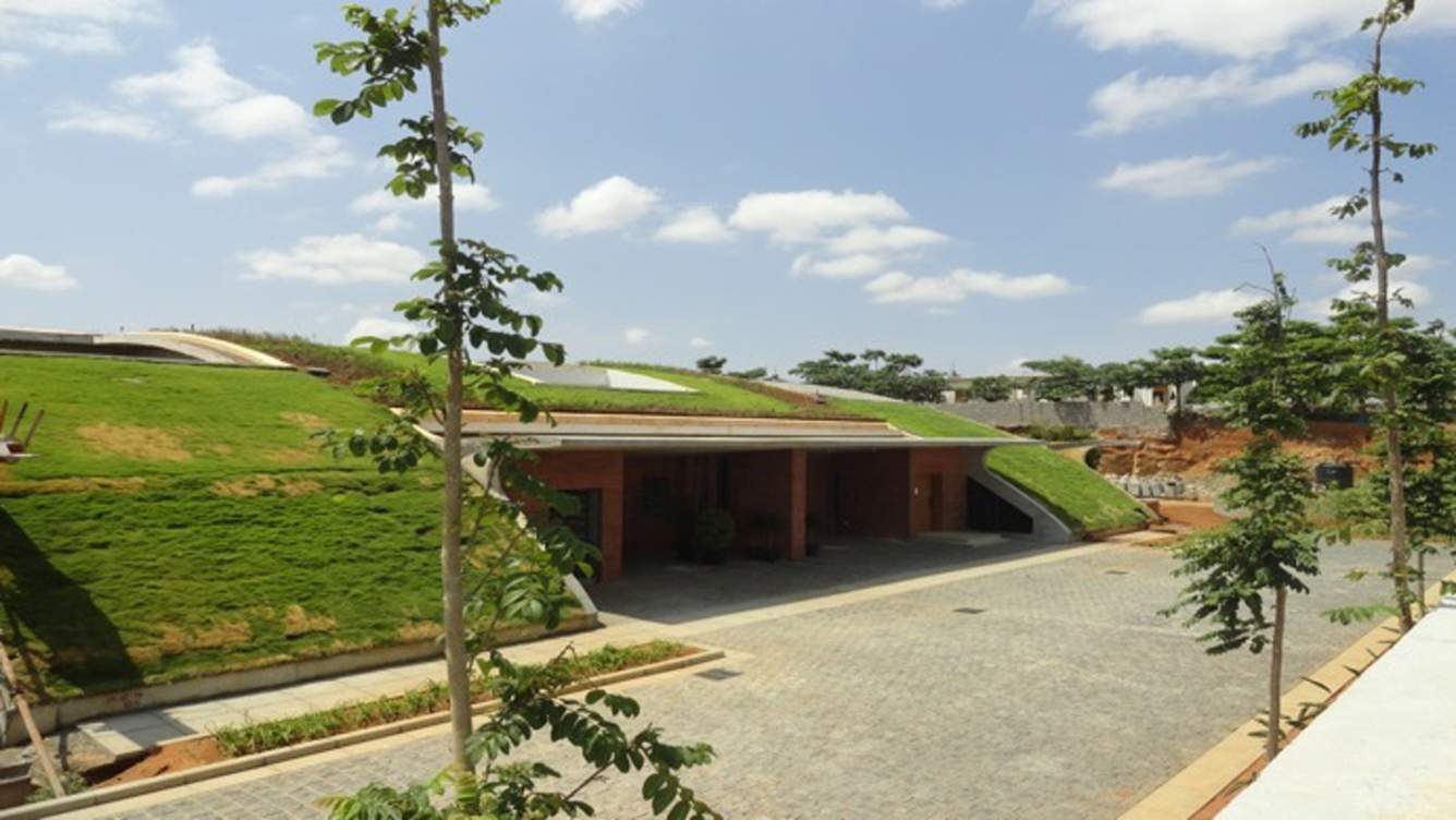  the meadow dance Images for Elevation of Total Environment The Meadow Dance