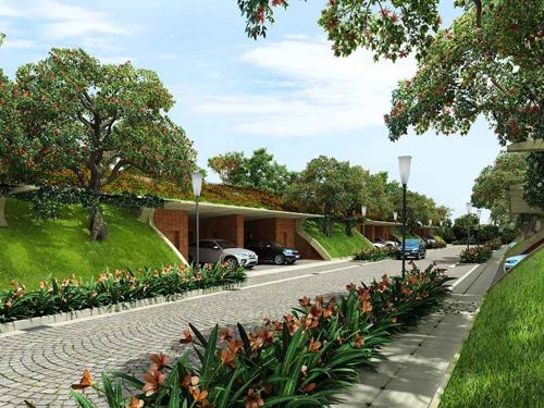  the-meadow-dance Images for Elevation of Total Environment The Meadow Dance