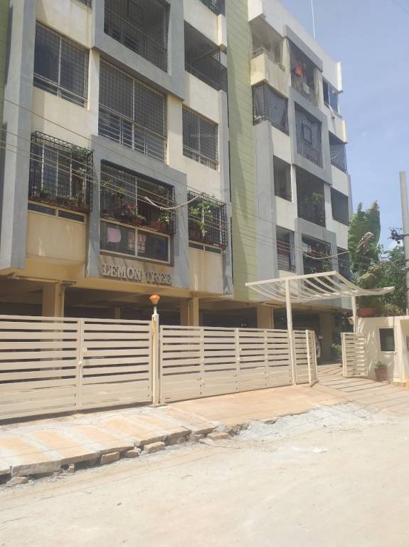  lemon tree Elevation