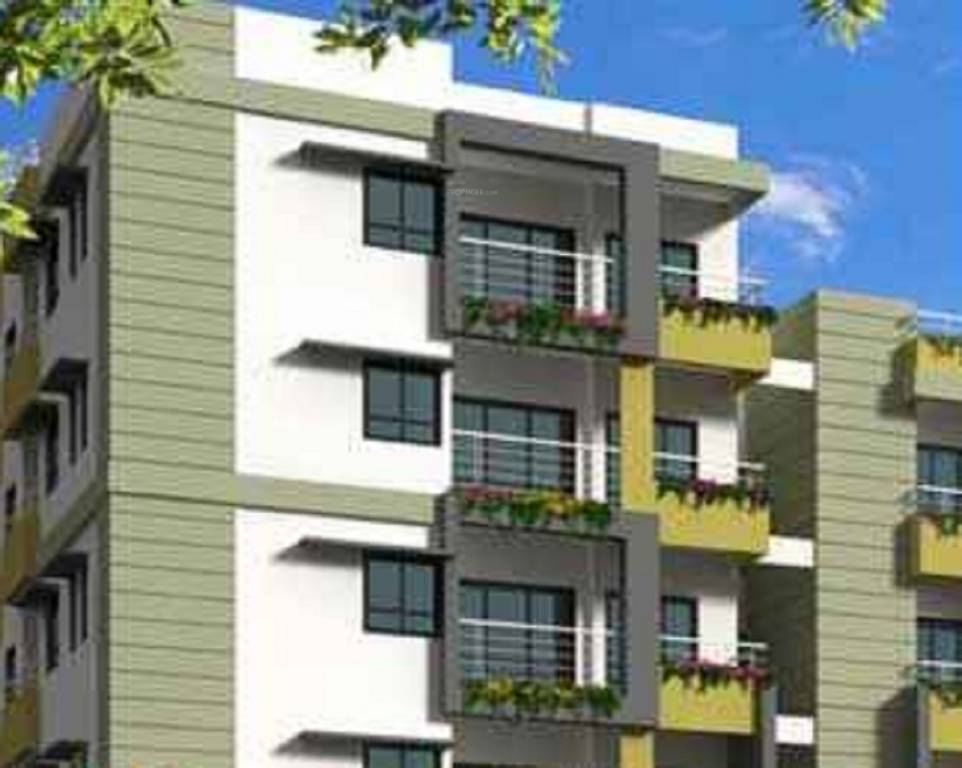  lemon tree Elevation