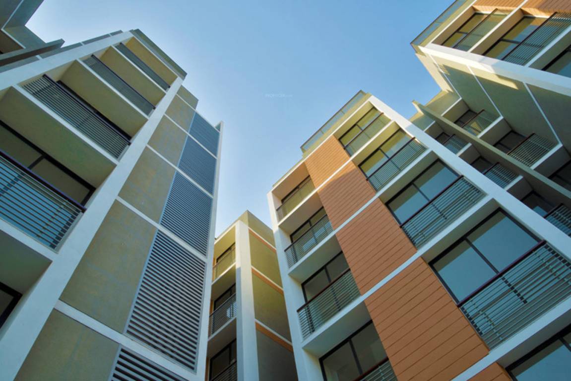 Images for Elevation of Sun Optima