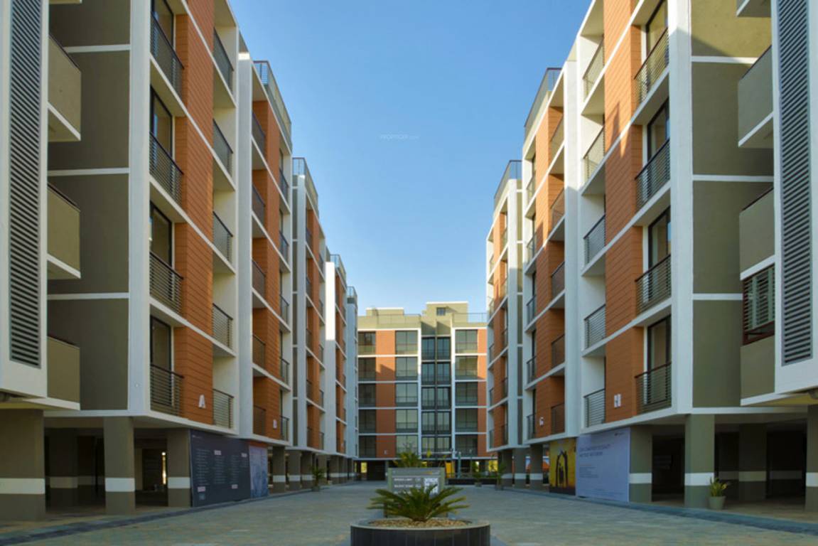 Images for Elevation of Sun Optima